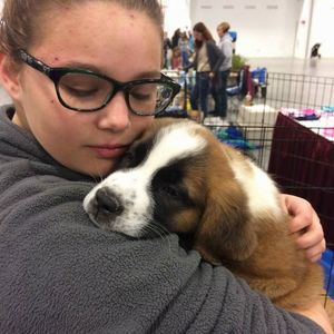 Meet your Posher, Abigail